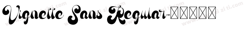 Vignette Sans Regular字体转换